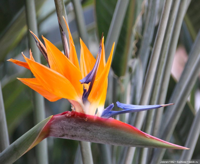 Морская прогулка с Сашкой и не только (фото 4)