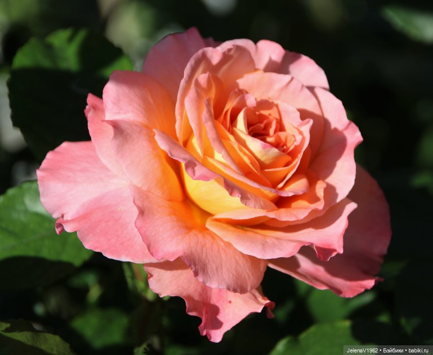 Лета много не бывает. И снова мини Королинки. Одежда своими руками