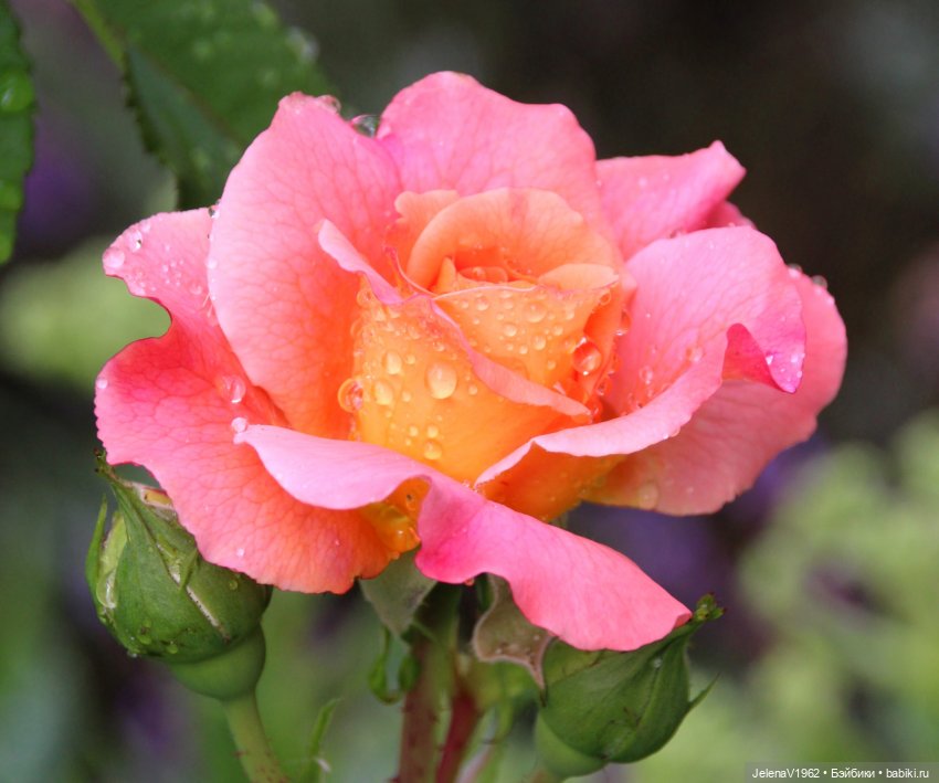 Лета много не бывает. И снова мини Королинки. Одежда своими руками (фото 6)