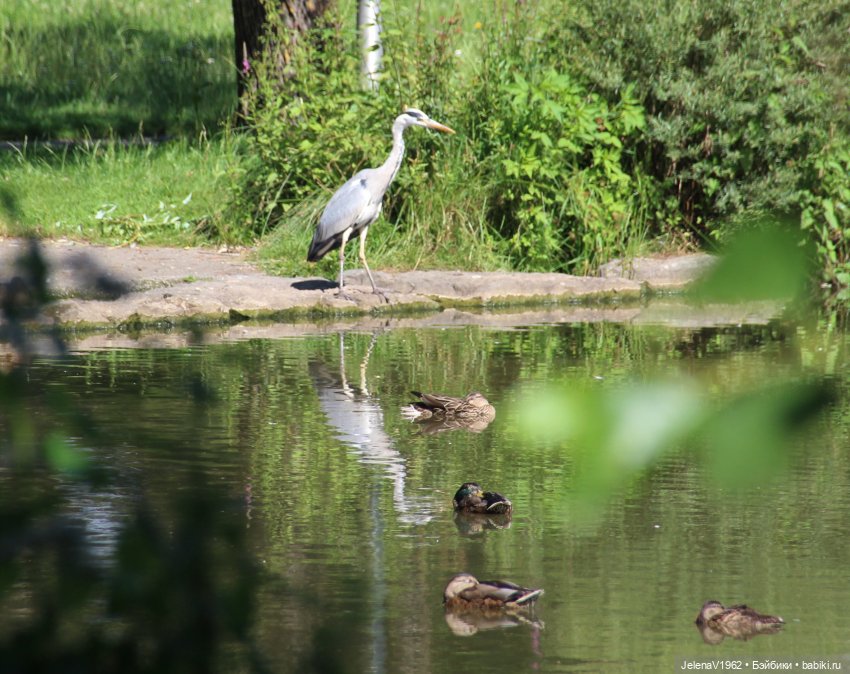 Лета много не бывает. И снова мини Королинки. Одежда своими руками (фото 10)