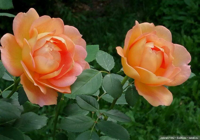 Осень с мини Королинкой. Одежда своими руками (фото 9)