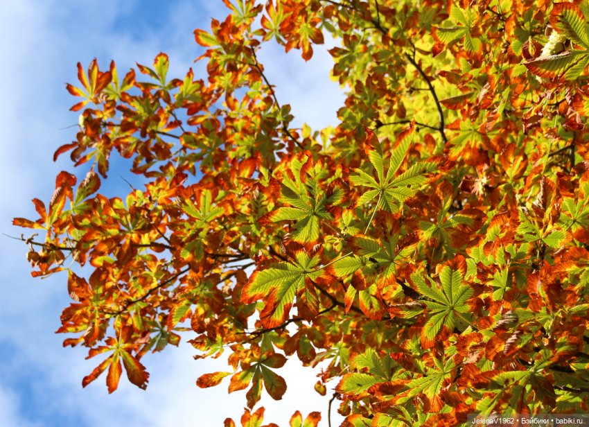 Осень с мини Королинкой. Одежда своими руками