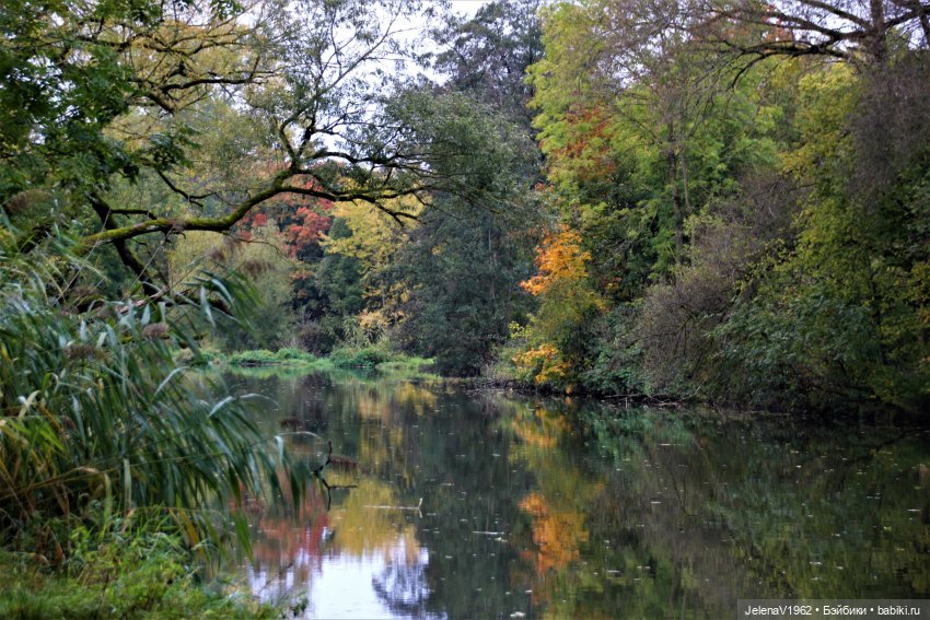 Все краски осени с Джониной Цвергназе