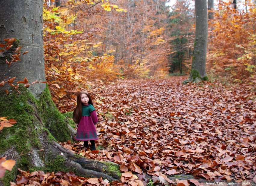 А я и не знала, что поздняя осень может быть такой красивой. Валентина Цвергназе