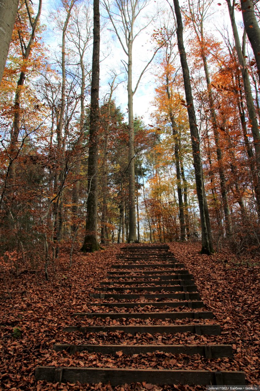 А я и не знала, что поздняя осень может быть такой красивой. Валентина Цвергназе