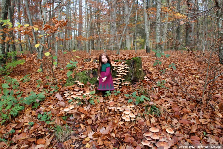 А я и не знала, что поздняя осень может быть такой красивой. Валентина Цвергназе