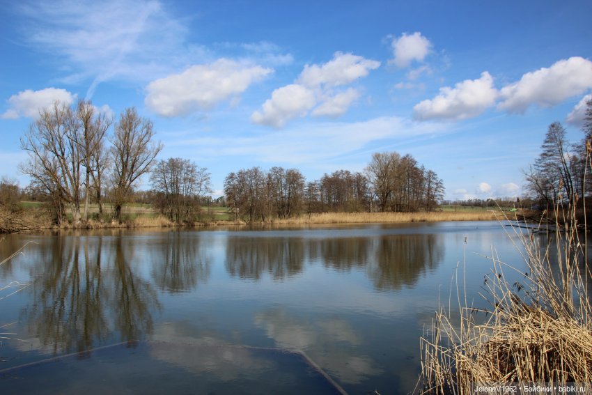 Весна, цветы и любимые куклы, что ещё для счастья надо