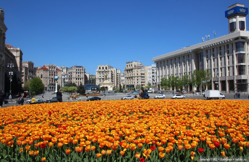 Маленькая дверь в большой мир. Киев - столица Украины любопытными глазами Вихтелей