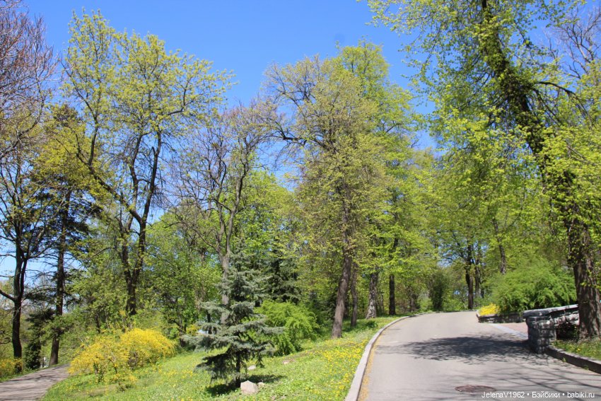 Маленькая дверь в большой мир. Киев - столица Украины любопытными глазами Вихтелей