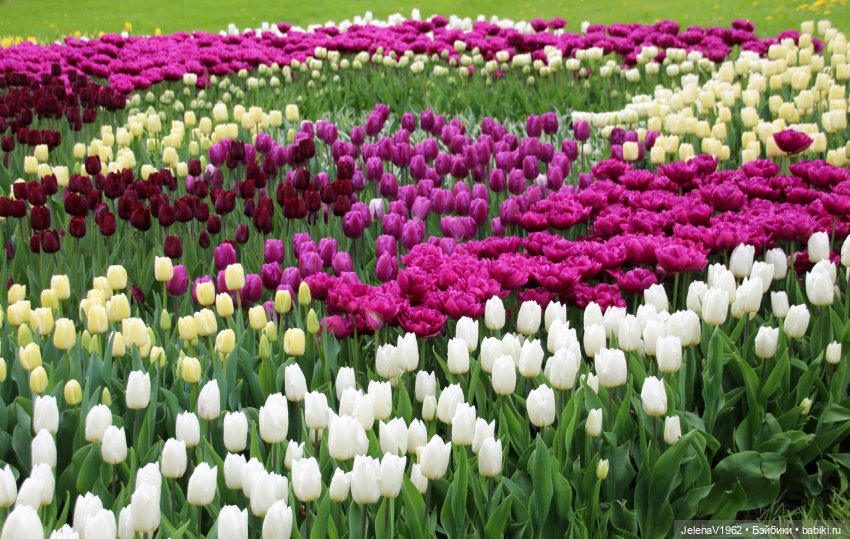 Маленькая дверь в большой мир. Киев - столица Украины любопытными глазами Вихтелей