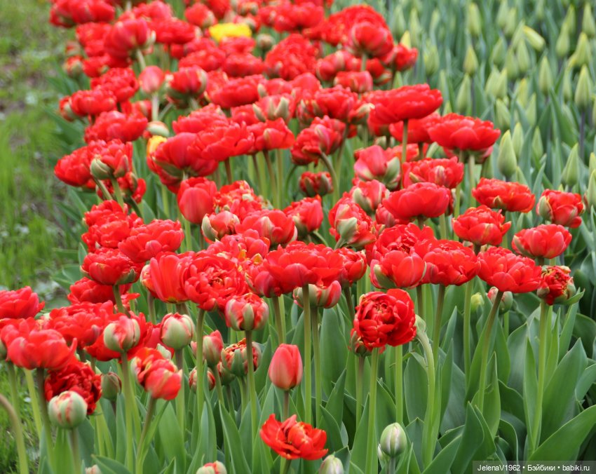 Маленькая дверь в большой мир. Киев - столица Украины любопытными глазами Вихтелей