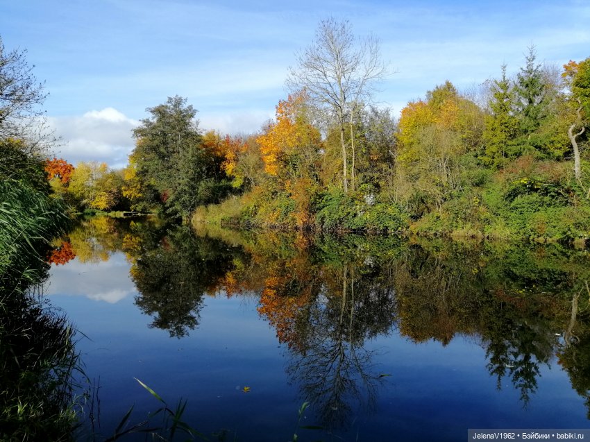 Осенние прогулки с Азалией Цвергназе