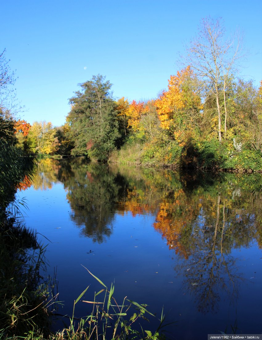 Осенние прогулки с Азалией Цвергназе