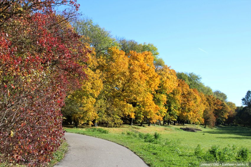 Осенние прогулки с Азалией Цвергназе