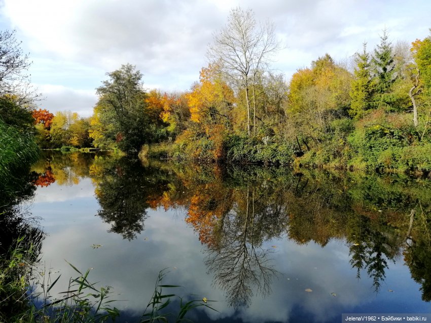 Осенние прогулки с Азалией Цвергназе