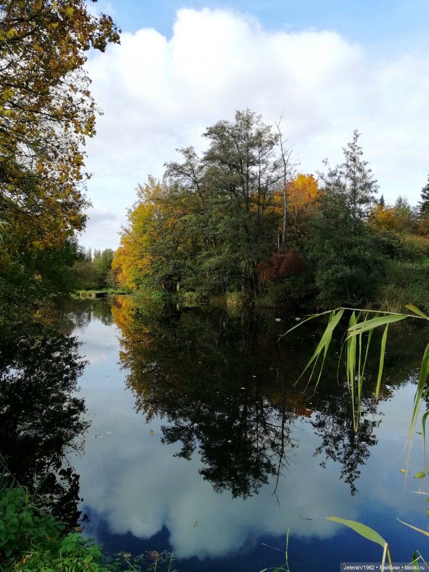Осенние прогулки с Азалией Цвергназе