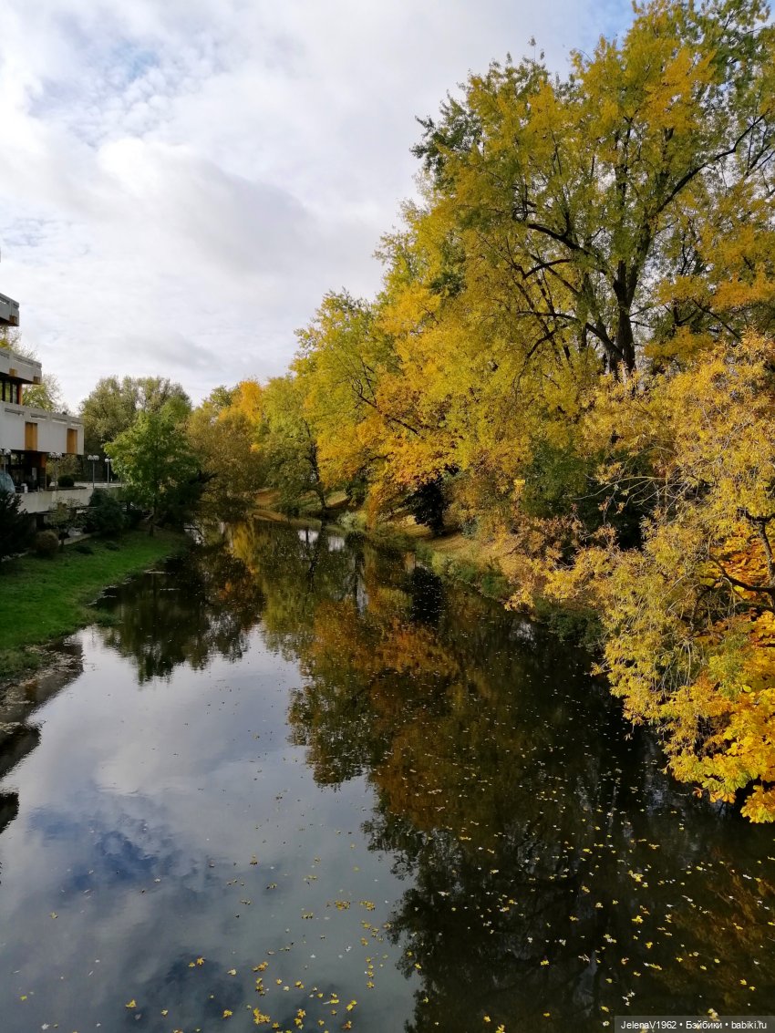 Осенние прогулки с Азалией Цвергназе