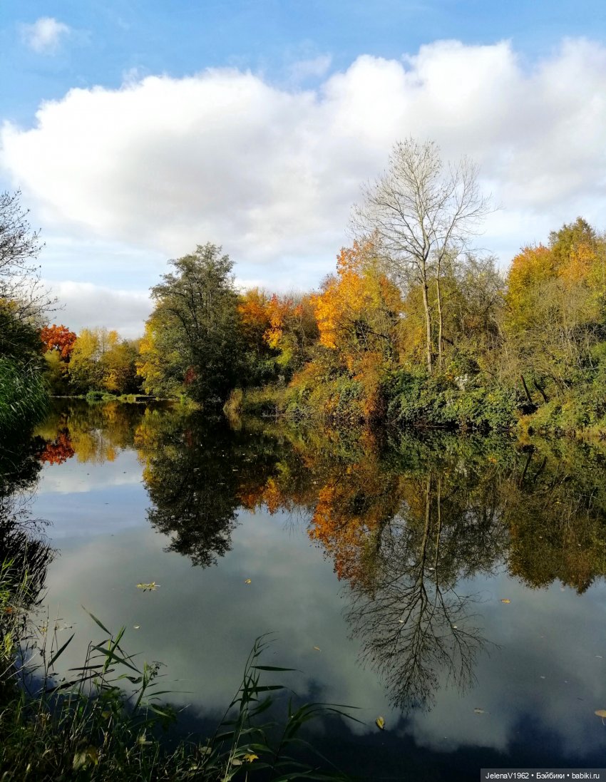 Осенние прогулки с Азалией Цвергназе