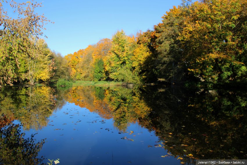 Осенние прогулки с Азалией Цвергназе (фото 10)