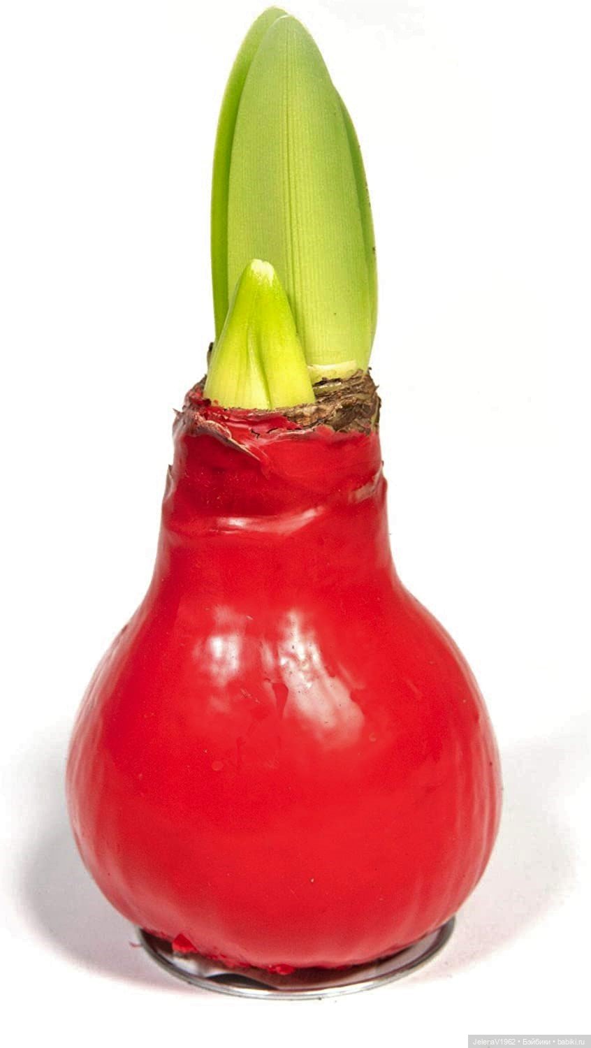 Рождественское настроение для Тони & Мари Käthe Kruse. Одежда своими руками