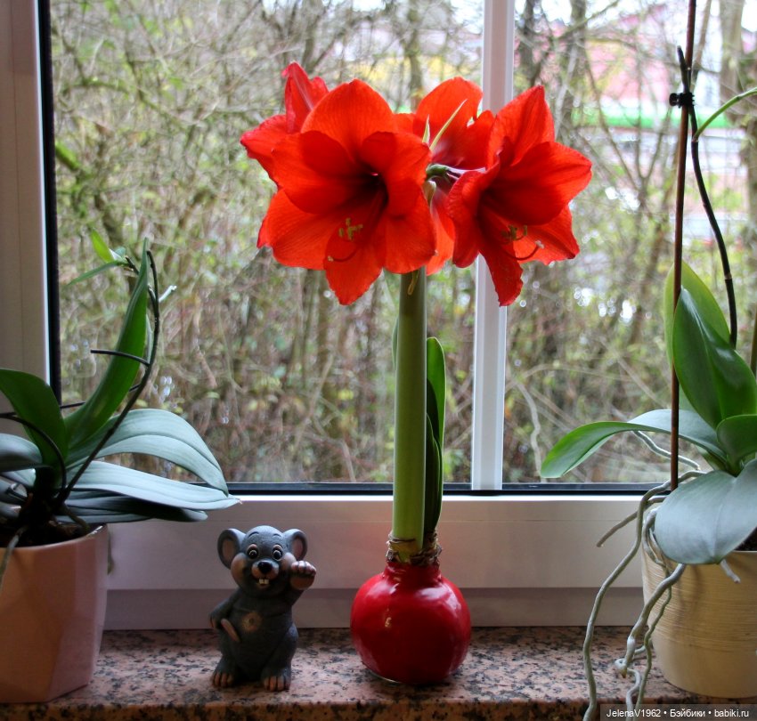 Рождественское настроение для Тони & Мари Käthe Kruse. Одежда своими руками