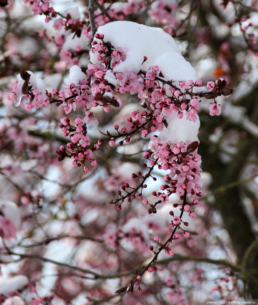 Когда её совсем не ждёшь — Куклы Baboliy (Баболи