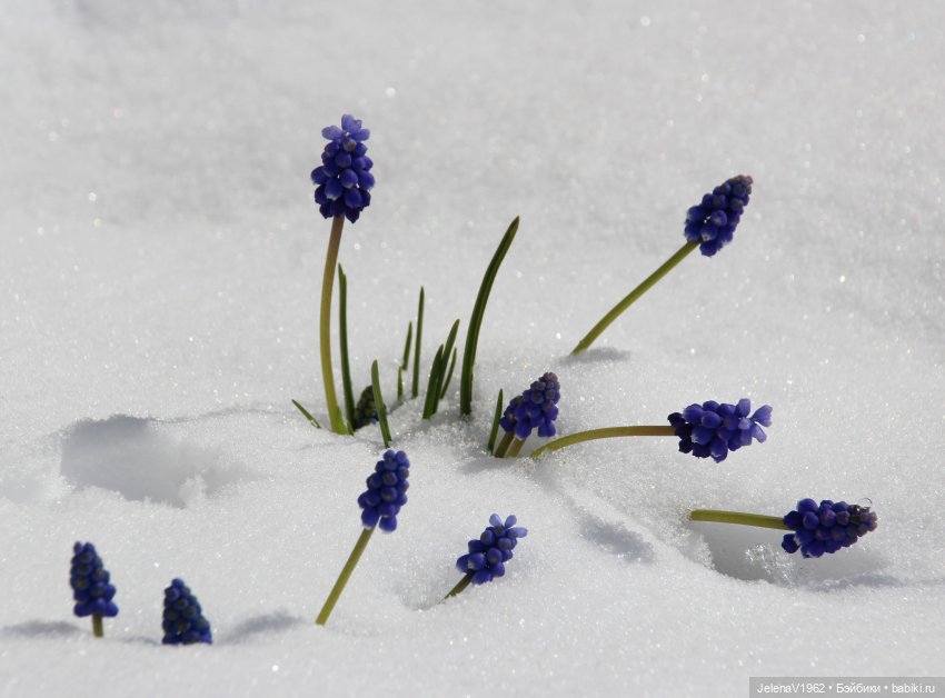 Когда её совсем не ждёшь — Куклы Baboliy (Баболи