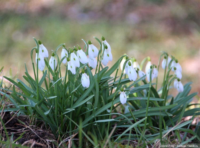 Когда её совсем не ждёшь — Куклы Baboliy (Баболи (фото 10)