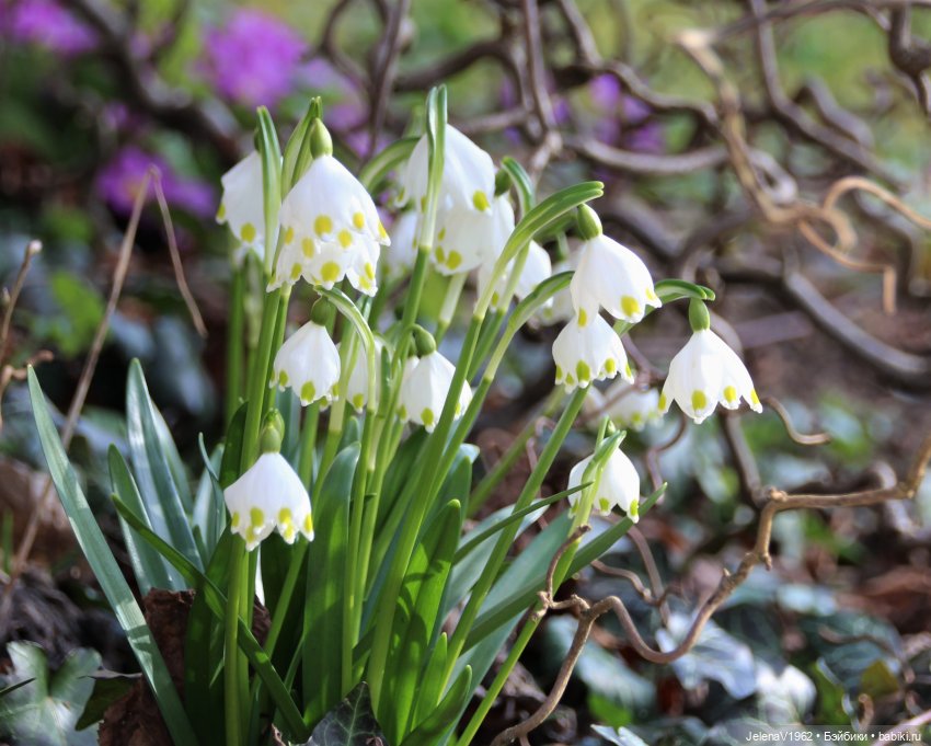 Когда её совсем не ждёшь — Куклы Baboliy (Баболи (фото 6)