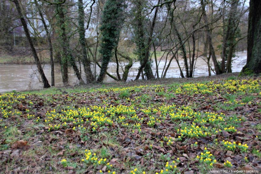 Когда её совсем не ждёшь — Куклы Baboliy (Баболи (фото 4)