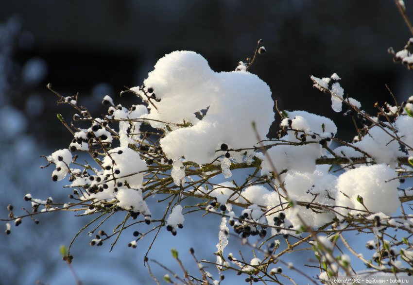 Когда её совсем не ждёшь — Куклы Baboliy (Баболи