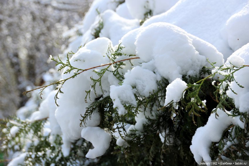 Когда её совсем не ждёшь — Куклы Baboliy (Баболи