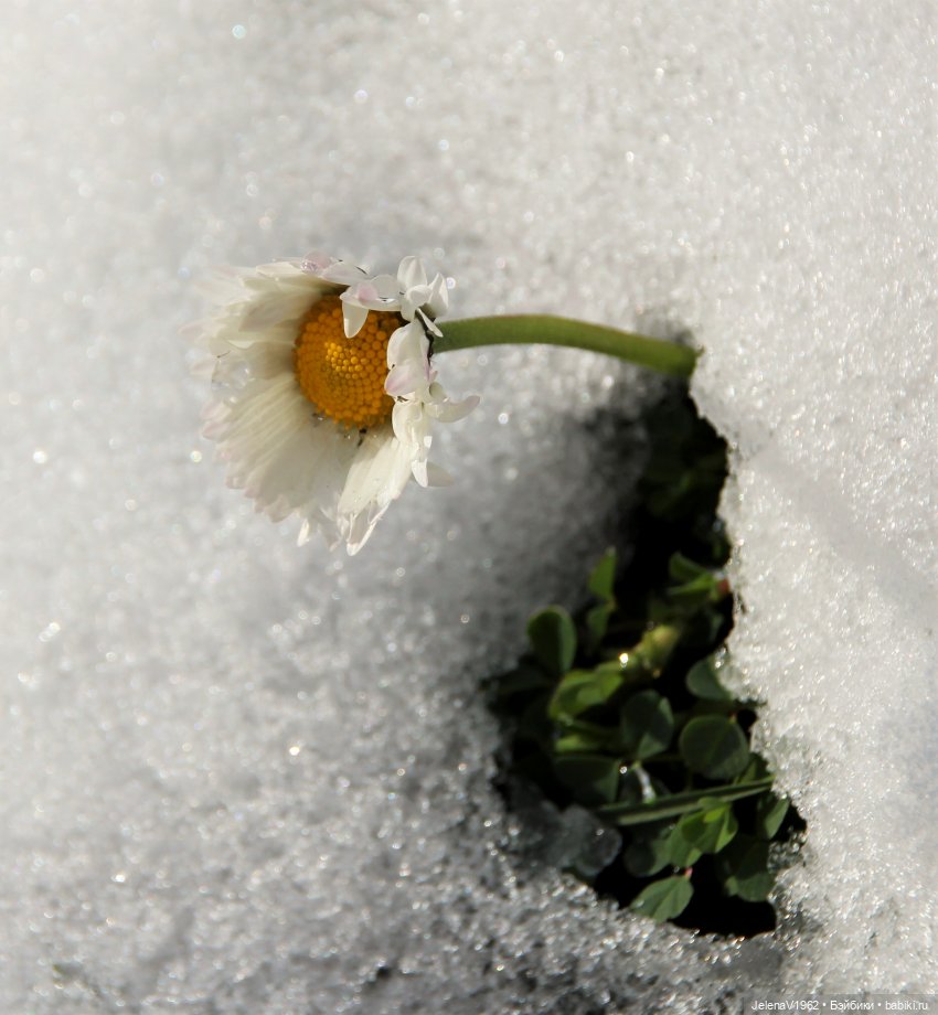 Когда её совсем не ждёшь — Куклы Baboliy (Баболи
