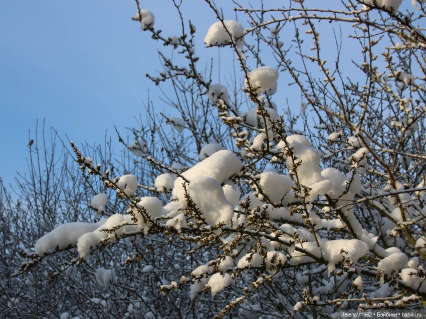 Когда её совсем не ждёшь — Куклы Baboliy (Баболи