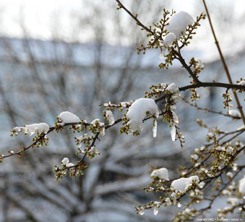 Когда её совсем не ждёшь — Куклы Baboliy (Баболи