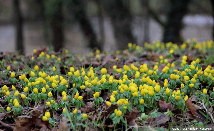 Когда её совсем не ждёшь — Куклы Baboliy (Баболи (фото 3)