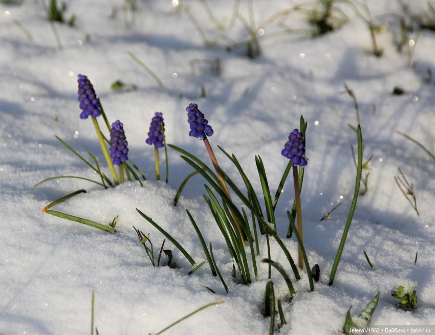 Когда её совсем не ждёшь — Куклы Baboliy (Баболи