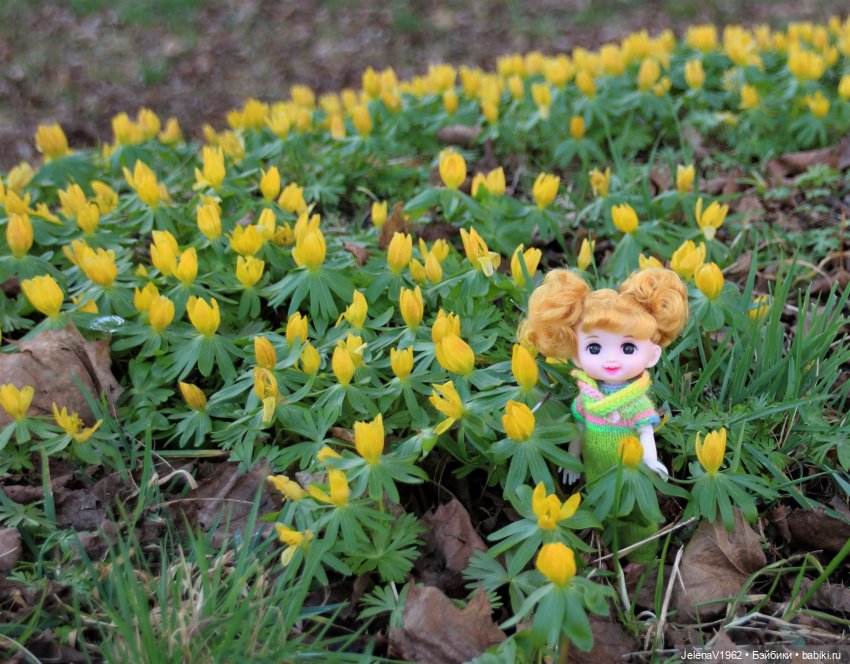 Когда её совсем не ждёшь — Куклы Baboliy (Баболи (фото 8)