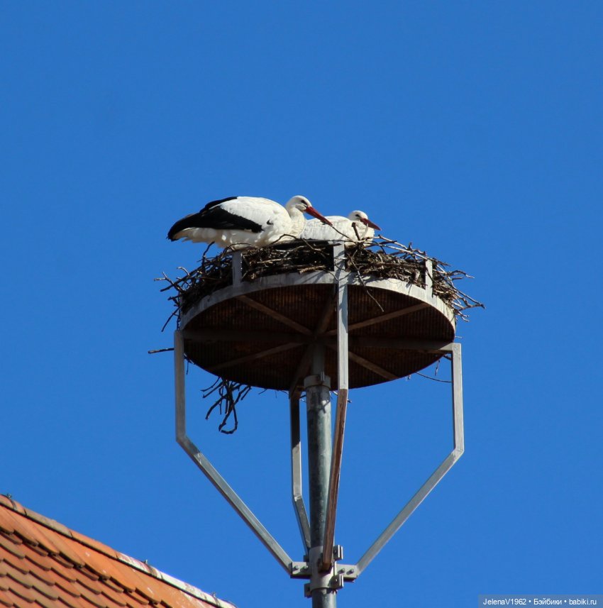 Когда её совсем не ждёшь — Куклы Baboliy (Баболи