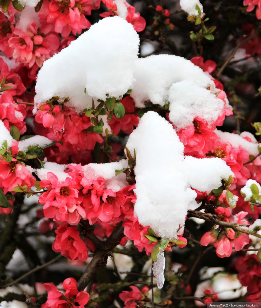 Когда её совсем не ждёшь — Куклы Baboliy (Баболи