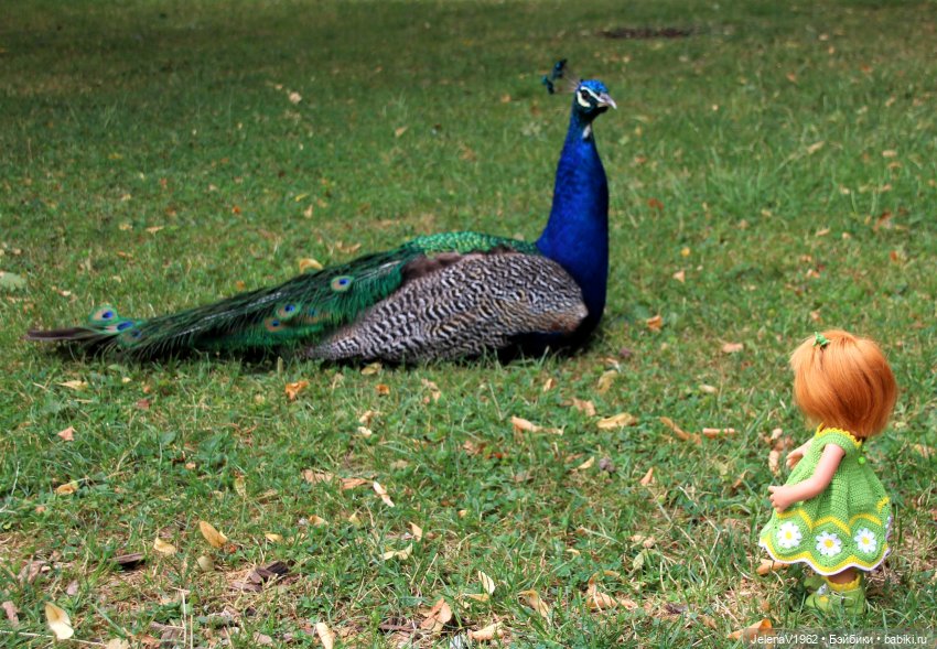Лето - это маленькая жизнь. И снова самые обаятельные и привлекательные и моё крючкотворчество | Бэйбики Лето - это маленькая жизнь. И снова самые обаятельные и привлекательные и моё крючкотворчество
