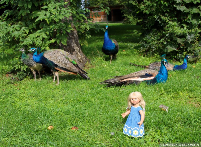Лето - это маленькая жизнь. И снова самые обаятельные и привлекательные и моё крючкотворчество | Бэйбики Лето - это маленькая жизнь. И снова самые обаятельные и привлекательные и моё крючкотворчество