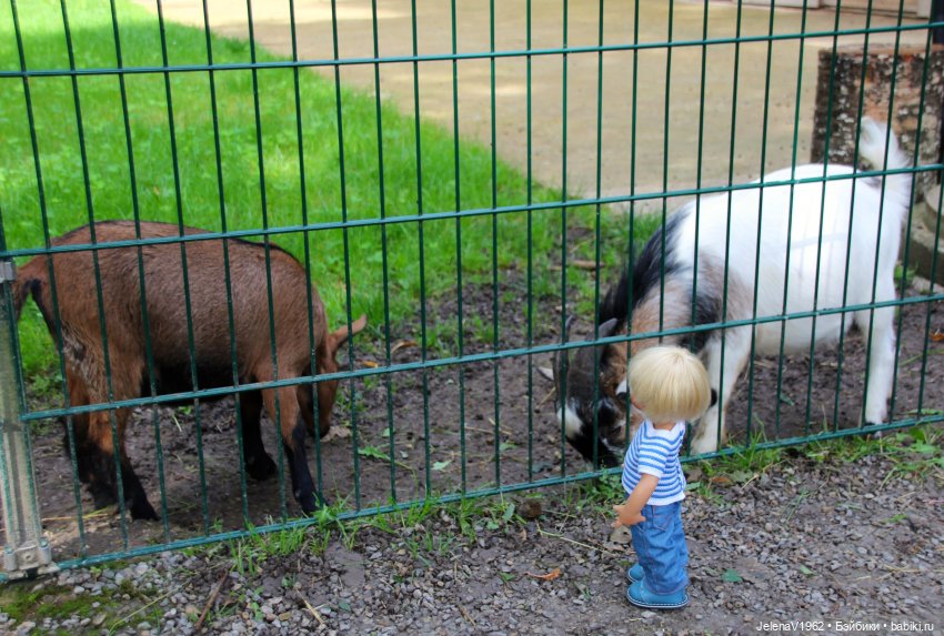 Лето - это маленькая жизнь. И снова самые обаятельные и привлекательные и моё крючкотворчество | Бэйбики Лето - это маленькая жизнь. И снова самые обаятельные и привлекательные и моё крючкотворчество