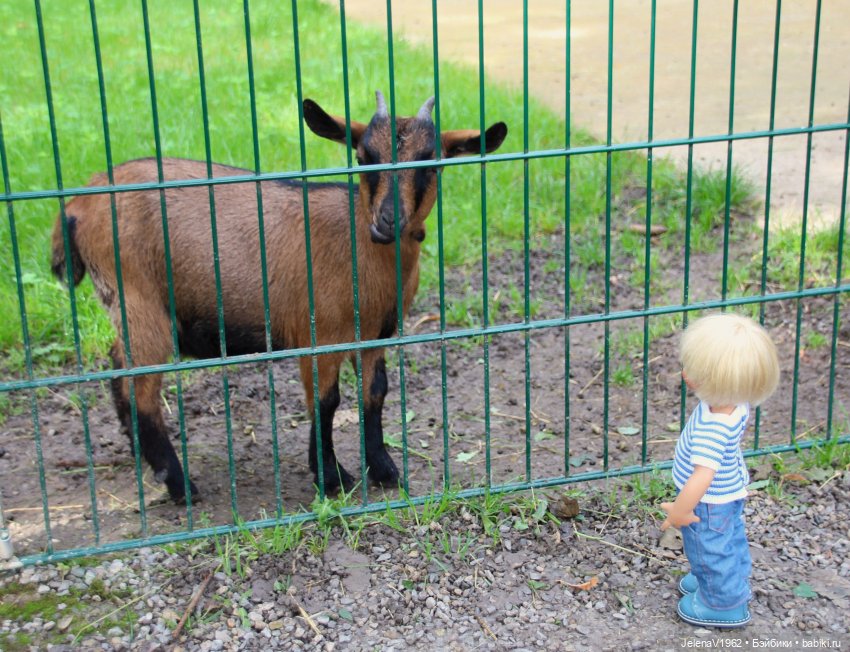 Лето - это маленькая жизнь. И снова самые обаятельные и привлекательные и моё крючкотворчество | Бэйбики Лето - это маленькая жизнь. И снова самые обаятельные и привлекательные и моё крючкотворчество