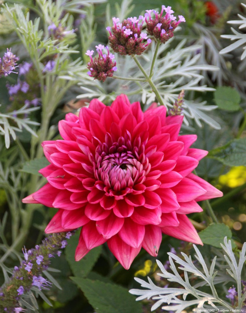 Лето - это маленькая жизнь. И снова самые обаятельные и привлекательные и моё крючкотворчество | Бэйбики Лето - это маленькая жизнь. И снова самые обаятельные и привлекательные и моё крючкотворчество