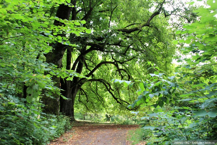 Лето - это маленькая жизнь. И снова самые обаятельные и привлекательные и моё крючкотворчество | Бэйбики Лето - это маленькая жизнь. И снова самые обаятельные и привлекательные и моё крючкотворчество