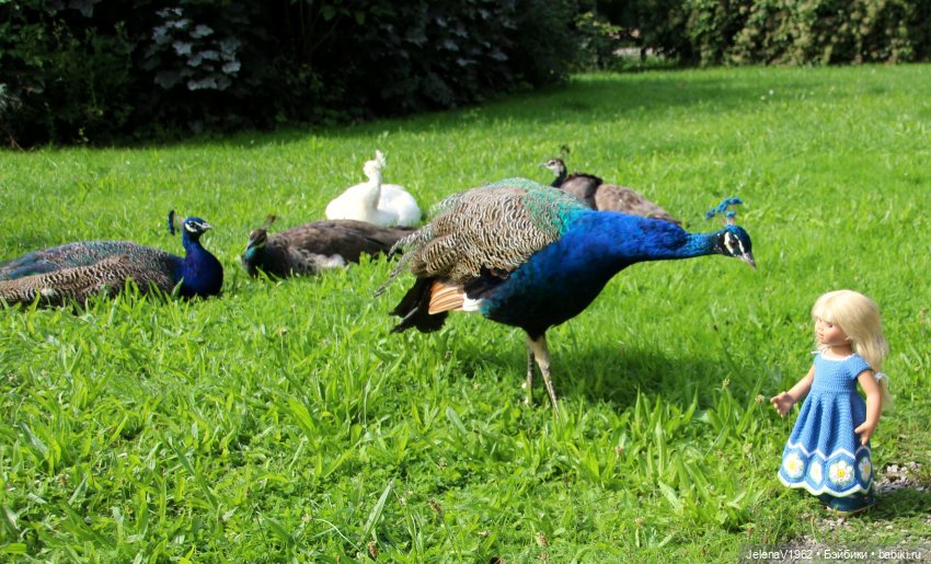 Лето - это маленькая жизнь. И снова самые обаятельные и привлекательные и моё крючкотворчество | Бэйбики Лето - это маленькая жизнь. И снова самые обаятельные и привлекательные и моё крючкотворчество