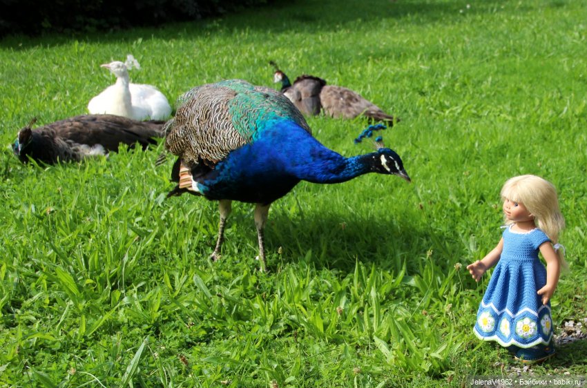 Лето - это маленькая жизнь. И снова самые обаятельные и привлекательные и моё крючкотворчество | Бэйбики Лето - это маленькая жизнь. И снова самые обаятельные и привлекательные и моё крючкотворчество