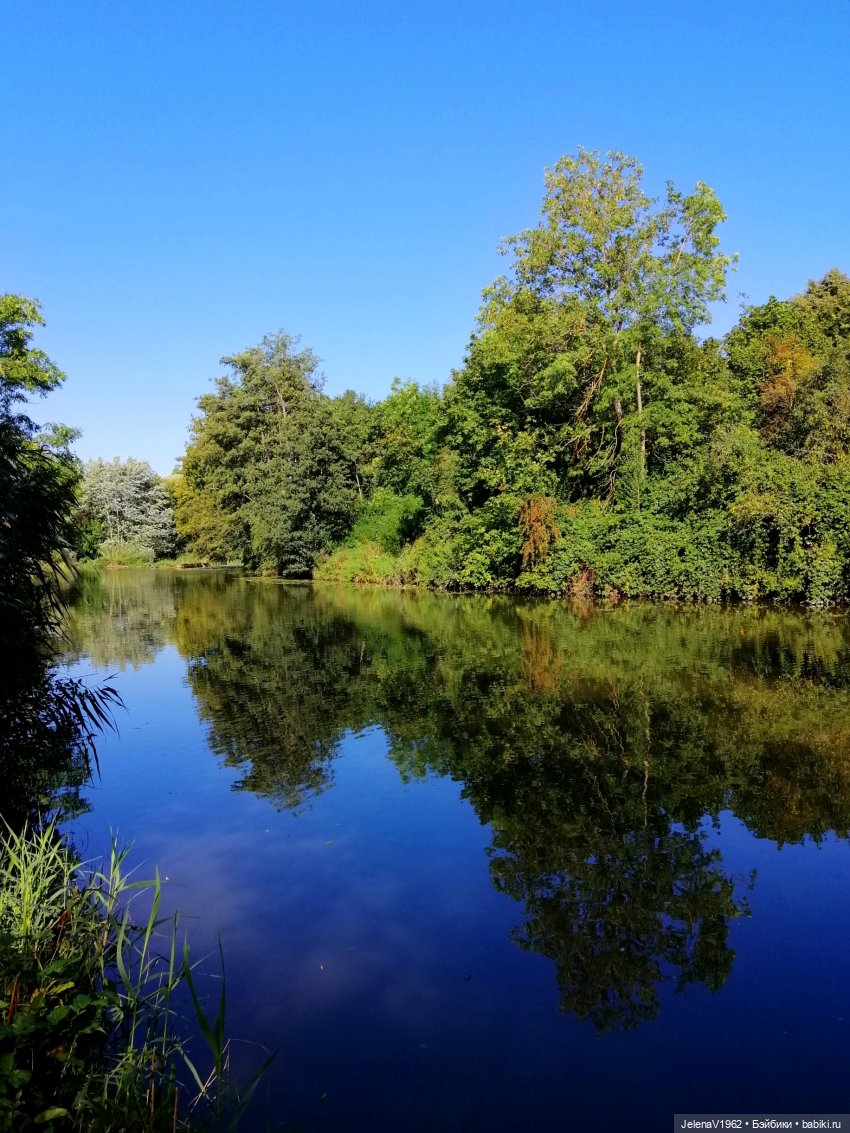 Лето - это маленькая жизнь. И снова самые обаятельные и привлекательные и моё крючкотворчество | Бэйбики Лето - это маленькая жизнь. И снова самые обаятельные и привлекательные и моё крючкотворчество