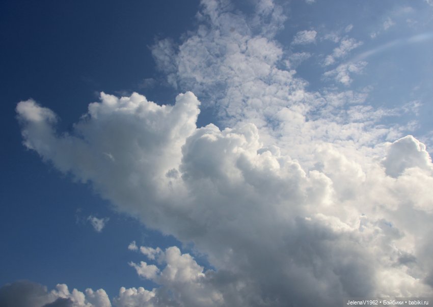 Осеннее море, Цвергназе и морской кот